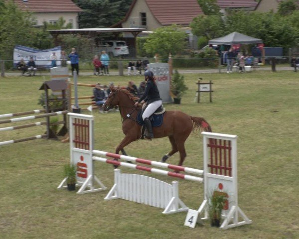 Reitturnier Buckow bei Beeskow (LOS) 2025