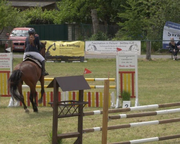 Reitturnier Buckow bei Beeskow (LOS) 2025