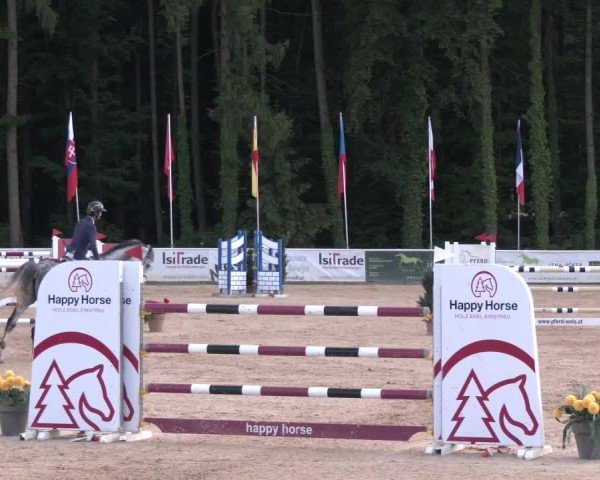Reitturnier Ranshofen - Braunau am Inn 2025