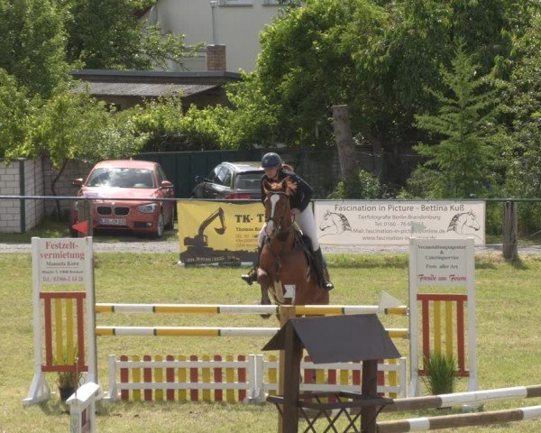 Reitturnier Buckow bei Beeskow (LOS) 2025