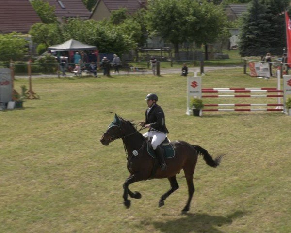 Reitturnier Buckow bei Beeskow (LOS) 2025