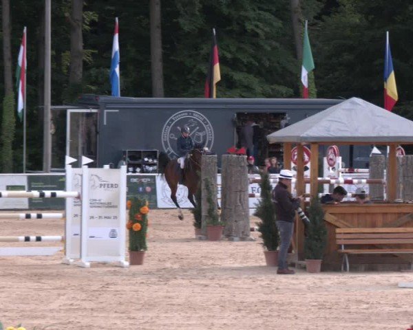 Reitturnier Ranshofen - Braunau am Inn 2025
