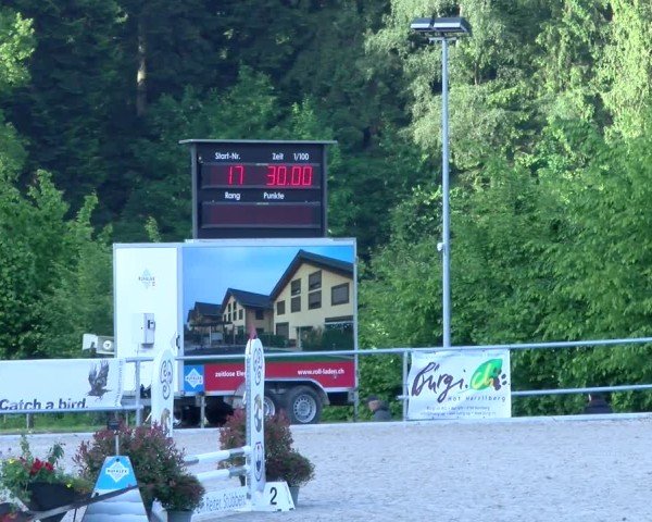 Reitturnier Meilen 2025