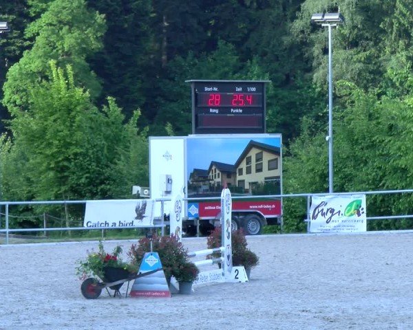Reitturnier Meilen 2025