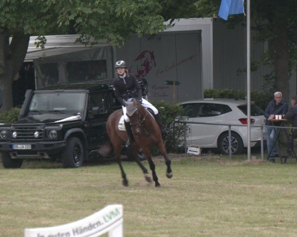 Reitturnier Stadthagen 2025