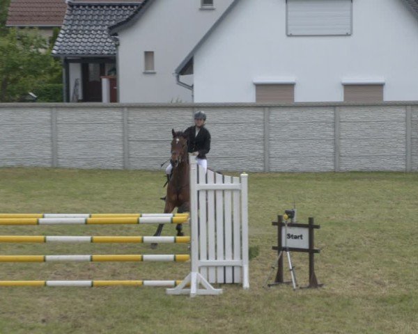 Reitturnier Buckow bei Beeskow (LOS) 2025