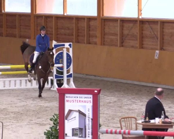 Hallenspringturnier Xanten - Reitanlage Miß 2014