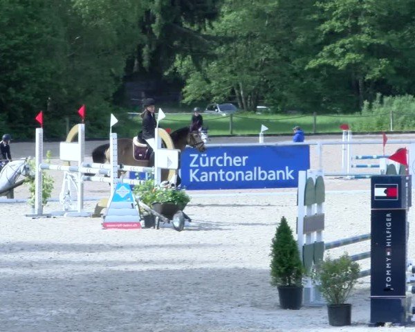 Reitturnier Meilen 2025