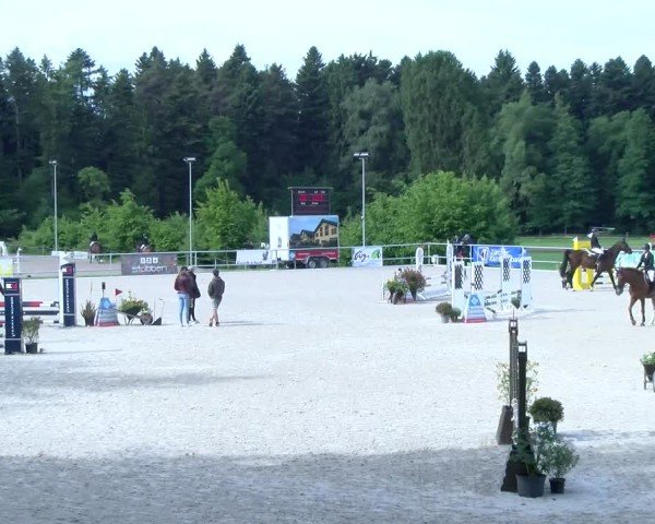 Reitturnier Meilen 2025