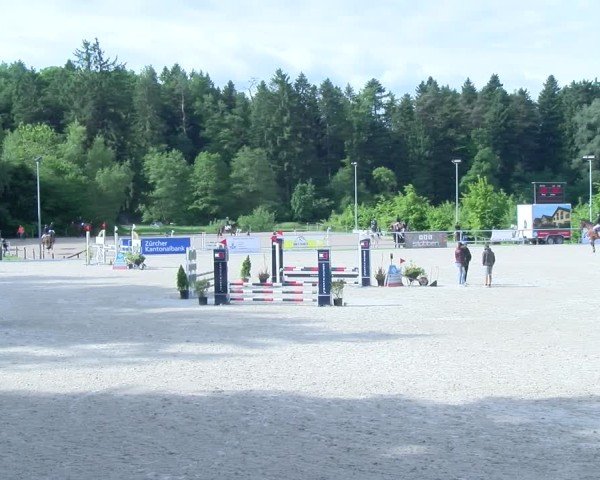 Reitturnier Meilen 2025