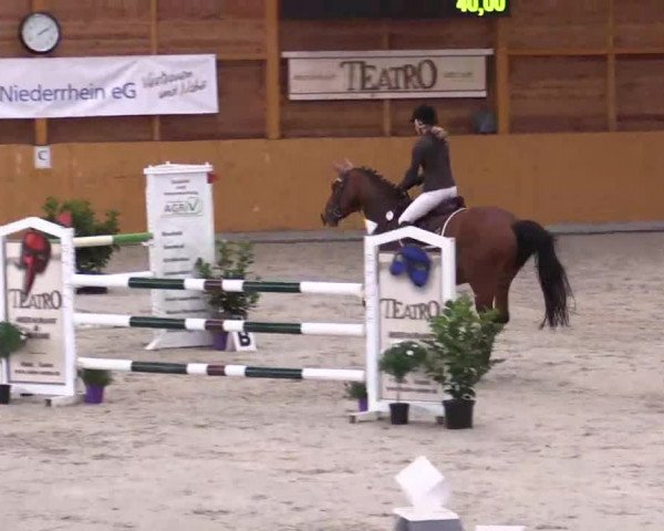 Hallenspringturnier Xanten - Reitanlage Miß 2014