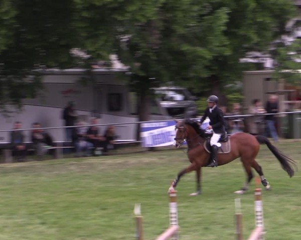 Reitturnier Königsborn 2025