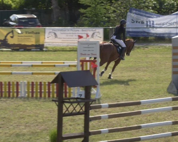 Reitturnier Buckow bei Beeskow (LOS) 2025