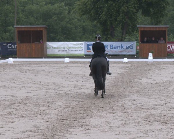 Reitturnier Erkrath - Uhlenhof 2025