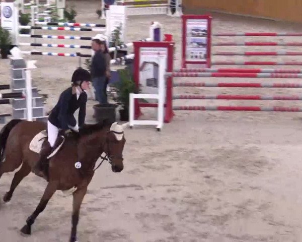 Hallenspringturnier Xanten - Reitanlage Miß 2014