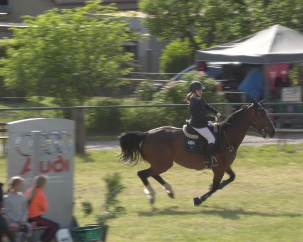Reitturnier Buckow bei Beeskow (LOS) 2025
