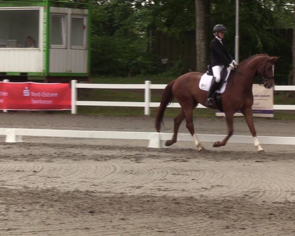Reitturnier Dressurturnier Mildstedt 2025