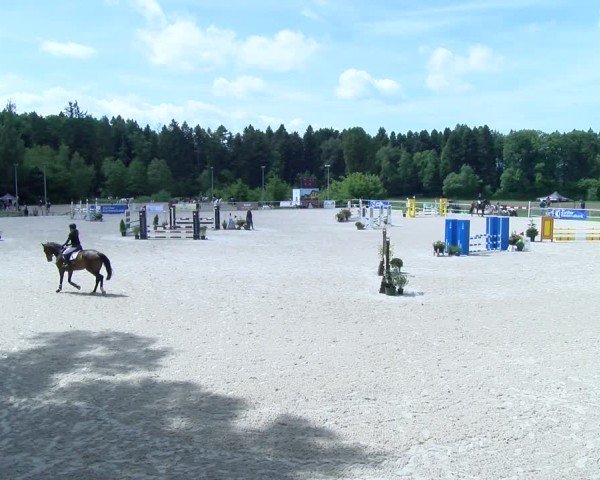 Reitturnier Meilen 2025
