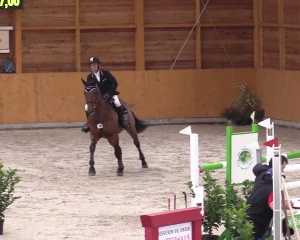 Hallenspringturnier Xanten - Reitanlage Miß 2014
