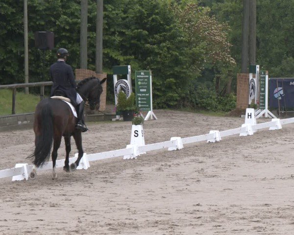 Reitturnier Erkrath - Uhlenhof 2025