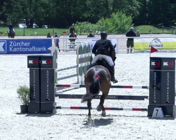 Reitturnier Meilen 2025