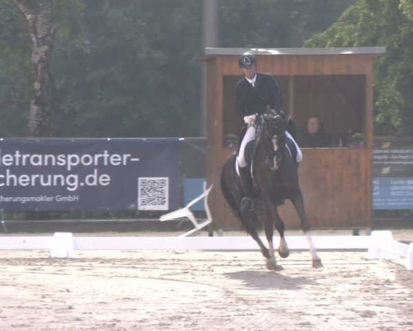 Reitturnier Erkrath - Uhlenhof 2025