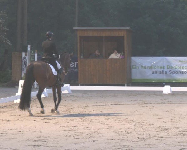 Reitturnier Erkrath - Uhlenhof 2025