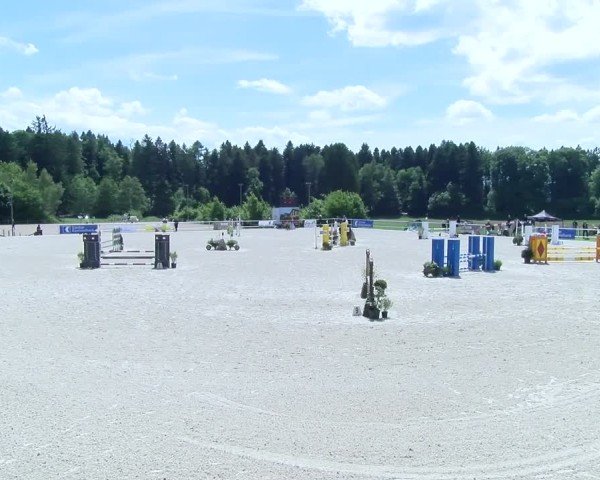 Reitturnier Meilen 2025