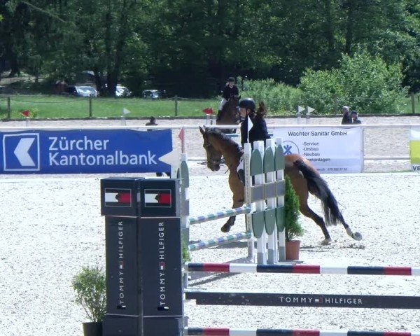 Reitturnier Meilen 2025