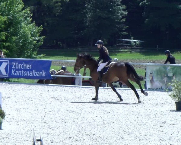 Reitturnier Meilen 2025