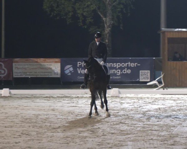 Reitturnier Erkrath - Uhlenhof 2025