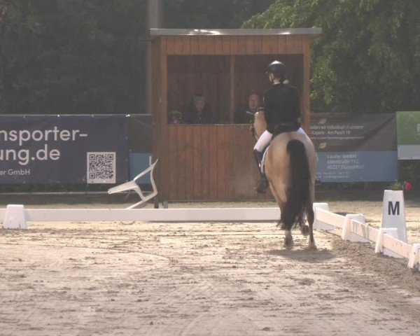 Reitturnier Erkrath - Uhlenhof 2025