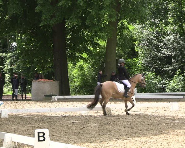 Reitturnier Königsborn 2025