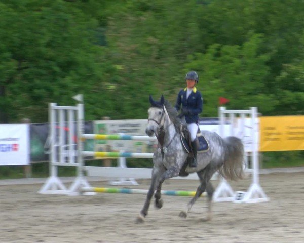 Reitturnier Alvern 2025