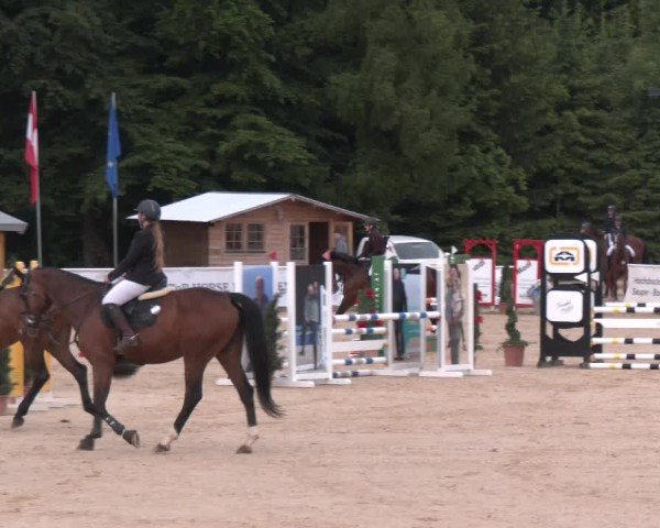 Reitturnier Ranshofen - Braunau am Inn 2025
