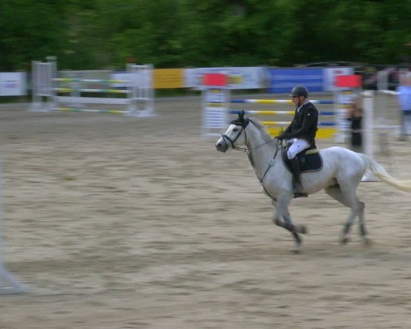 Reitturnier Alvern 2025