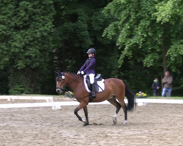 Reitturnier Königsborn 2025