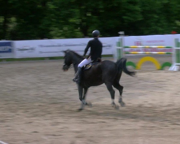 Reitturnier Alvern 2025