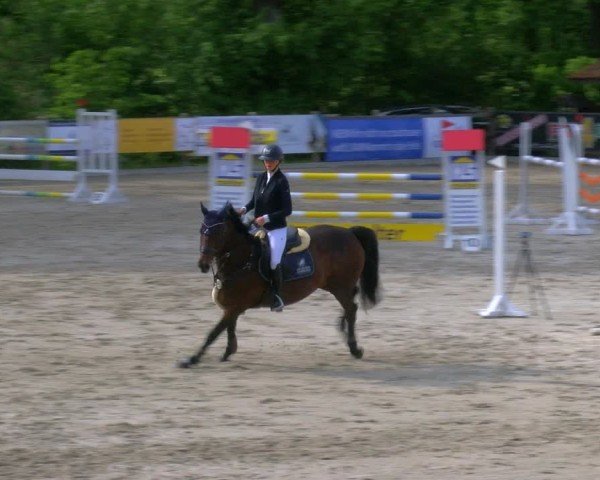 Reitturnier Alvern 2025