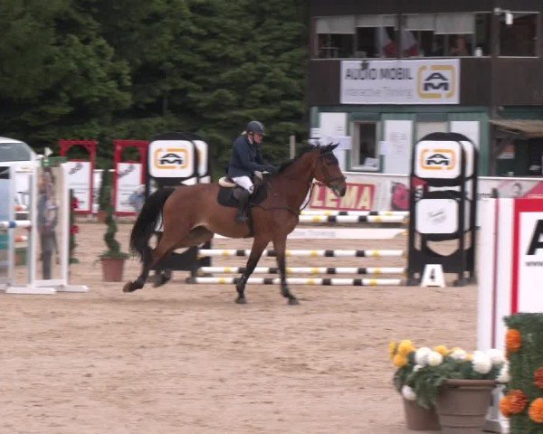 Reitturnier Ranshofen - Braunau am Inn 2025