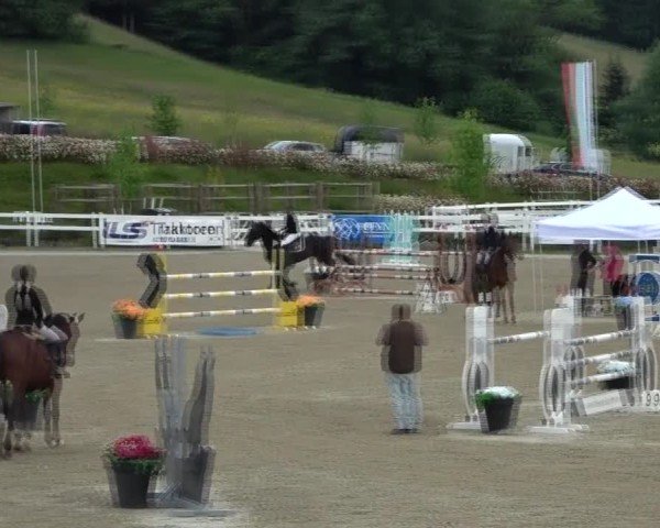 Reitturnier St. Margarethen 2025