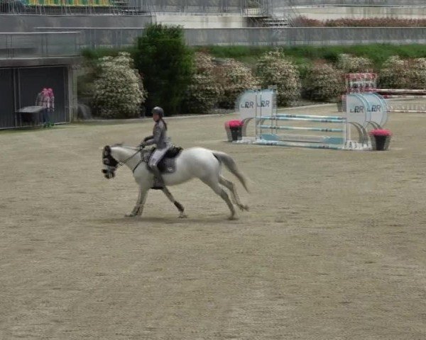 Reitturnier St. Margarethen 2025