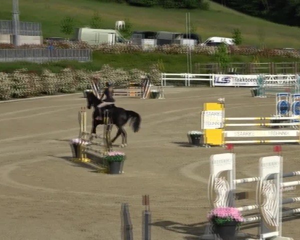 Reitturnier St. Margarethen 2025