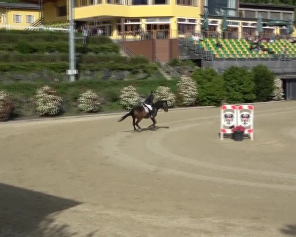 Reitturnier St. Margarethen 2025