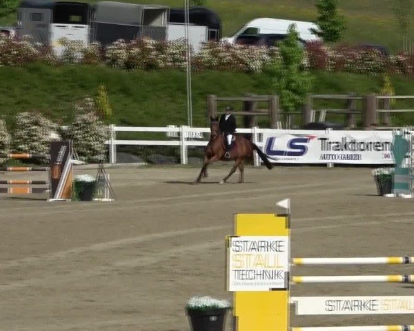 Reitturnier St. Margarethen 2025