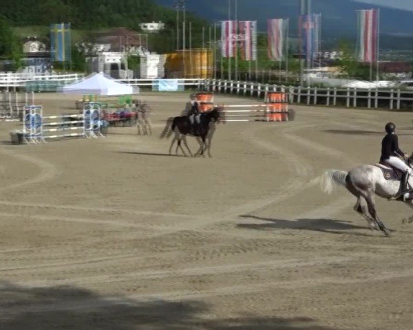 Reitturnier St. Margarethen 2025