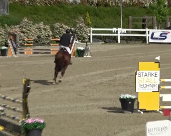 Reitturnier St. Margarethen 2025
