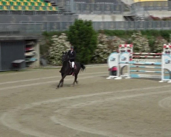 Reitturnier St. Margarethen 2025