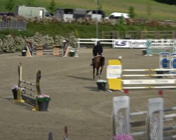 Reitturnier St. Margarethen 2025