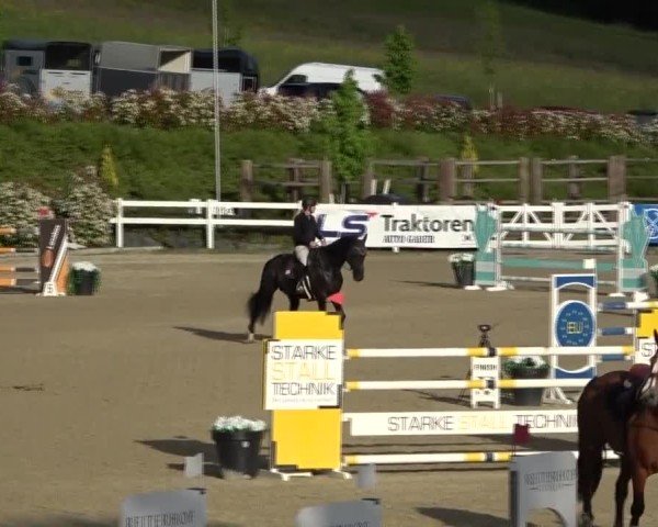 Reitturnier St. Margarethen 2025